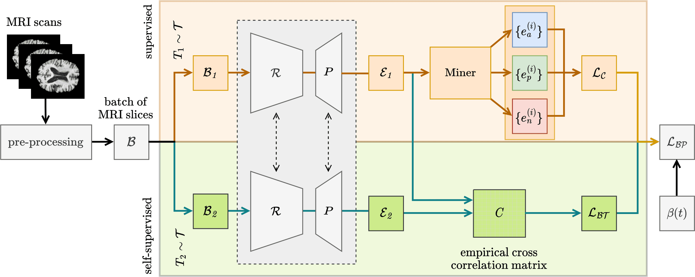 Diagram of the DeepBrainPrint training pipeline, with supervised and self-supervised branches